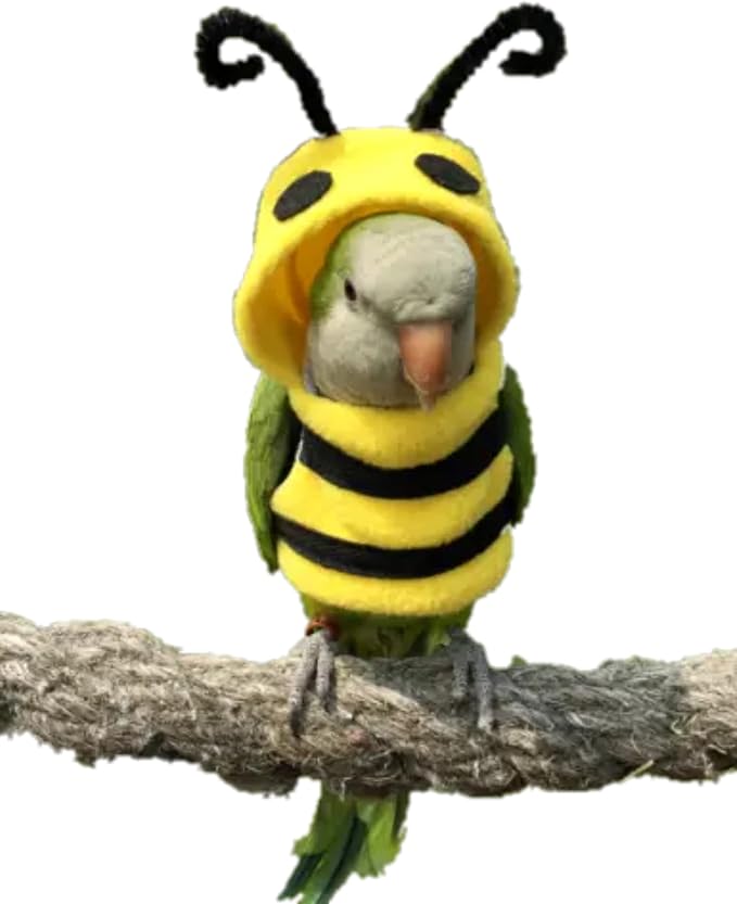 Bird Costume Diaper Flight Suit Bee Shape Clothes Cosplay Photo Prop for Parrots Lovebird Budgie Parakeet Cockatiel Sun Conure, Small Animals Apparel (Bee Without, Small), Green, BPF1