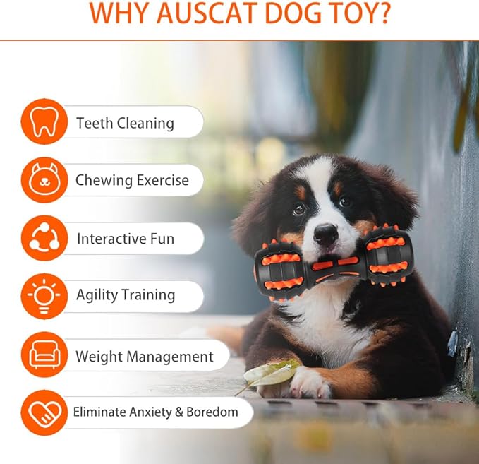 AUSCAT Teething Dog Toys, Durable Squeaky Dog Toys, Rubber Chew Toys for Dogs, Dumbbell Shape, Black