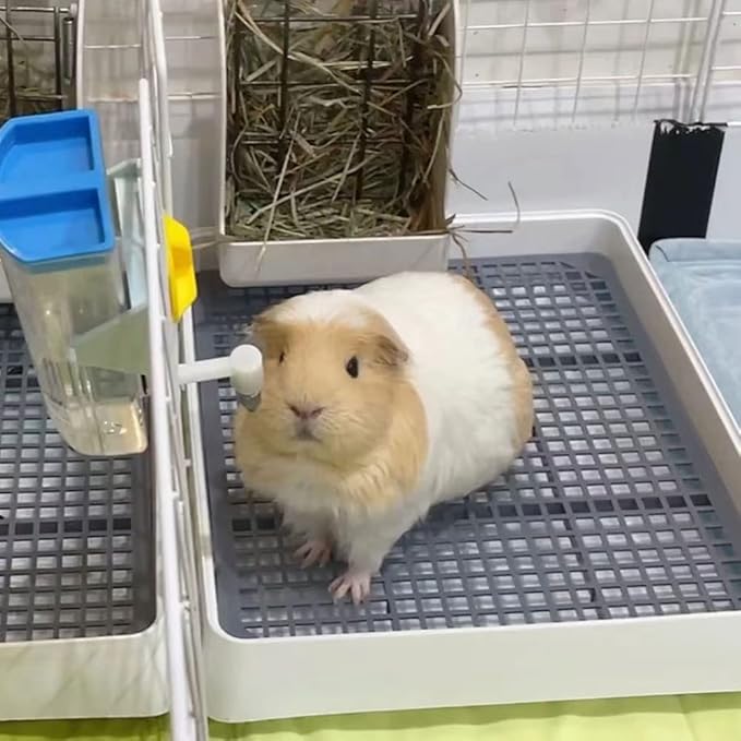 Oncpcare 15x12 Guinea Pig Litter Box with Grid, Small Animal Litter Tray for Cage, Bunny Restroom Pan Toilet Potty Training for Rabbit Ferret Chinchilla Rat