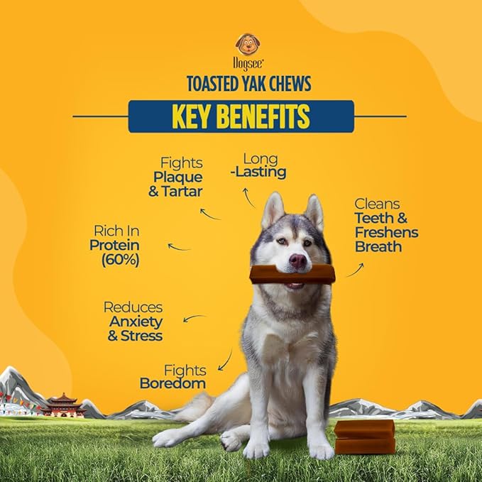 Dogsee Toasted Yak Cheese Himalayan Dog Chews (Medium - 3 Chews) | Extra Long-Lasting | Double Cooked for Extra Smoky Cheese Flavor | Rich in Protein & Calcium | Easy to Digest | for Cleaning Teeth
