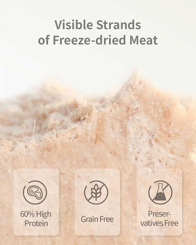 Freeze-Dried Raw Cat Food, 97% Animal Origin Dry Food for Cat, High Protein Treat & Topper (Beef Recipe - 2.1 Ounce)