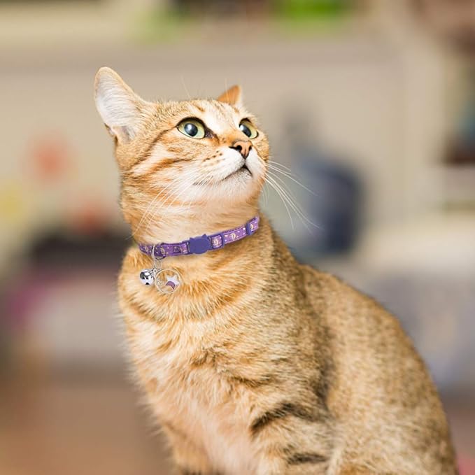 PUPTECK 3 Pack Cat Collar with Bells Breakaway - Luminous Safety Small Kitten Collar Adjustable Moon Star Pink Black Purple, 8-12 in