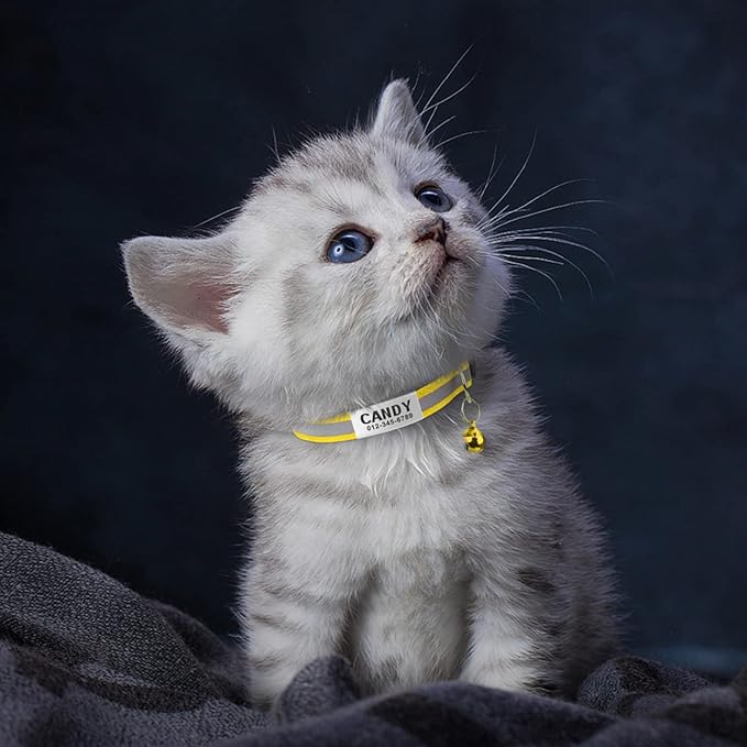 TagME 2 Pack Cat Collar with Name Tag, Personalized Reflective Cat Collar Breakaway with Bell for Boy & Girl Kitten, Yellow