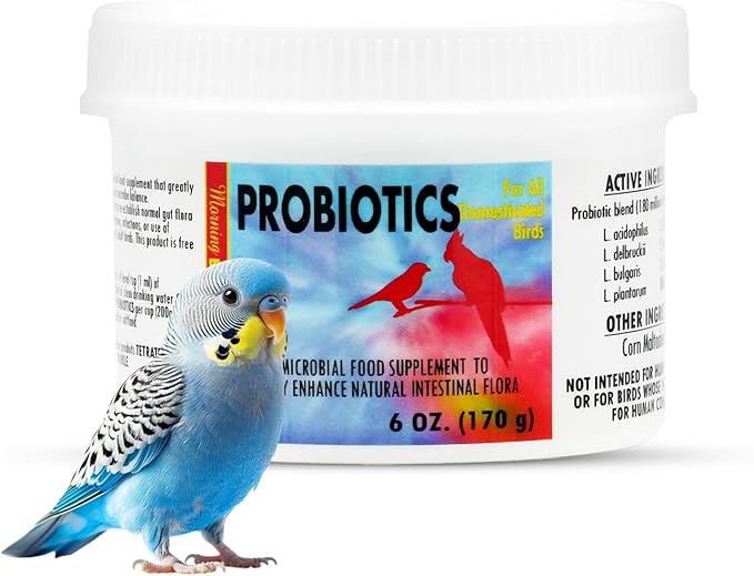 Morning Bird Probiotics for Birds 6 oz– Digestive Health Supplement with Supports Gut Balance, Nutrient Absorption & Immune Support – Easy Mix Powder Supplement for All Bird Species