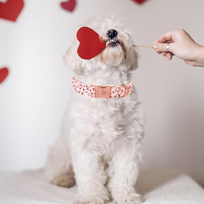 Elegant Little Tail Pink Heart Dog Collar, XL, Cotton, Unique Design, Hearts, Multiple Occasions, Large Dogs