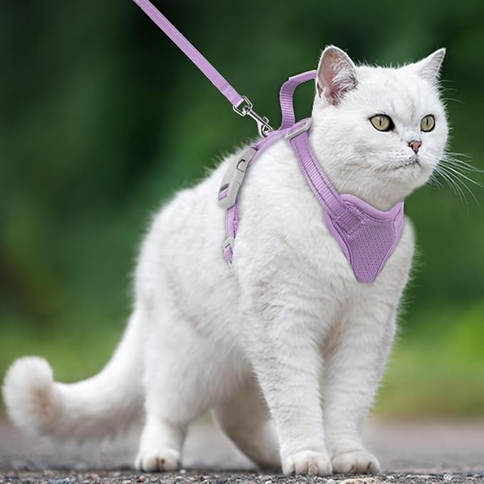 Cat Harness and Leash Set Escape Proof for Kitten Walking, Soft Adjustable Top Handle Vest Harnesses for Cats, Easy Control Breathable Reflective Small Medium Large, Violet Purple, M