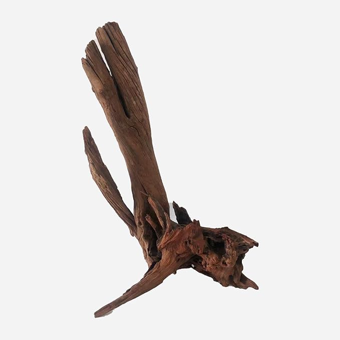 Natural Driftwood for Aquarium Decor, L12.2×W9.45×H19.69 Inches Large Drift Wood Decorations for Reptile Hide, Fish Tank, Optional Shapes
