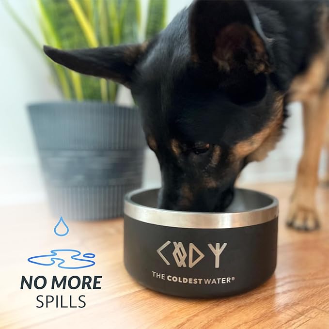 Coldest Dog Bowl - Anti Rust Metal, Non Slip, 3 Layers Insulated Stainless Steel Dog Bowls - Spill Proof & Heavy Duty - Water Bowl for Dogs, Cats, Dish Washer Safe (64 oz, Polished Stainless Steel)