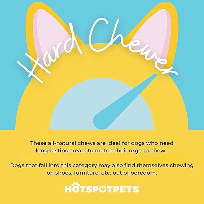 hotspot pets Braided Bully Sticks for Dogs - (12 Inch Stix- 5 Count) Premium All Natural Long Lasting Twisted Beef Pizzle Lasting Dog Chew Treats - Grain Free Fully Digestible Rawhide Alternative