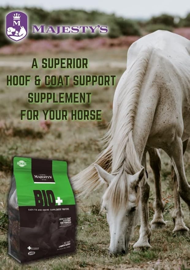 Majesty's BIO+ Biotin Wafers - Superior Horse/Equine Hoof and Coat Support Supplement - Copper, Zinc, Lysine, Methionine (2 Pack(120 Count Total))