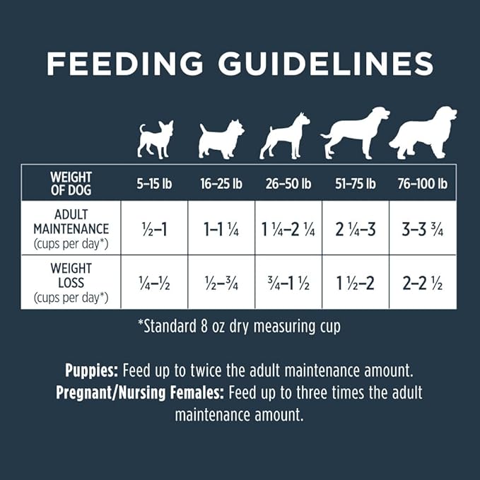 Instinct Raw Boost, Natural Dry Dog Food with Freeze Dried Pieces, High Protein, Grain Free Recipe - Real Chicken, 21 lb. Bag