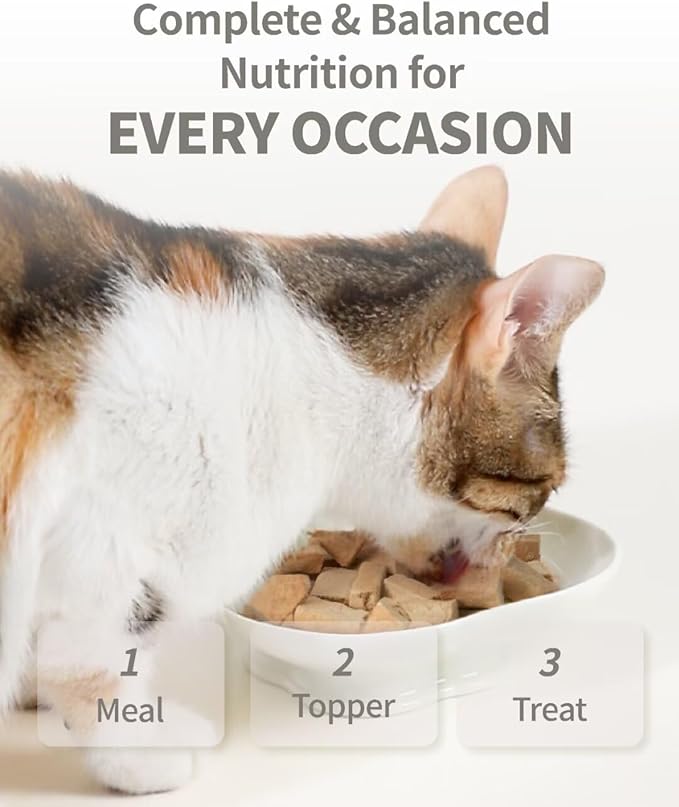 Freeze-Dried Raw Cat Food, 97% Animal Origin Dry Food for Cat, High Protein Treat & Topper (Pork Recipe - 14 Ounce)