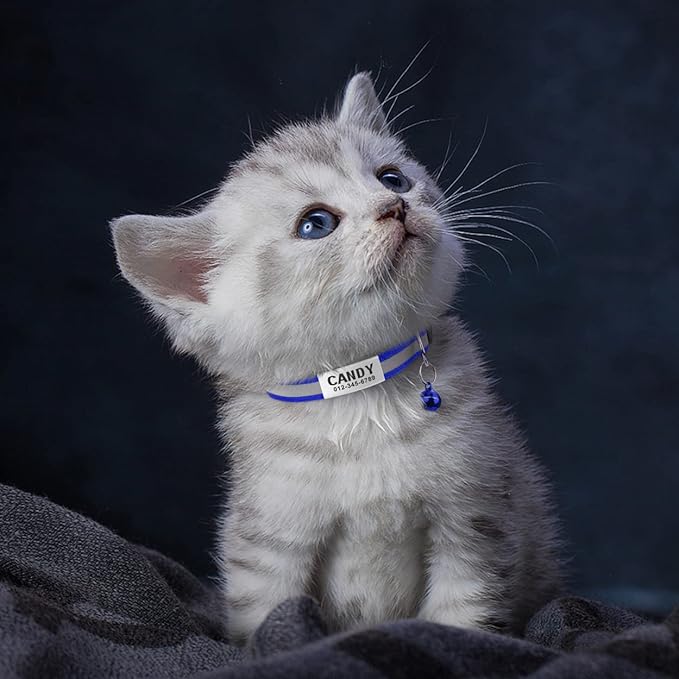 TagME 2 Pack Cat Collar with Name Tag, Personalized Reflective Cat Collar Breakaway with Bell for Boy & Girl Kitten, NavyBlue