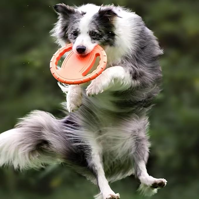 1 Pack Dog Soft Flying Discs Interactive Training Toys, EVA Material Lightweight Pet Supplies, Floats in Water, Great for Beach and Pool (Green)