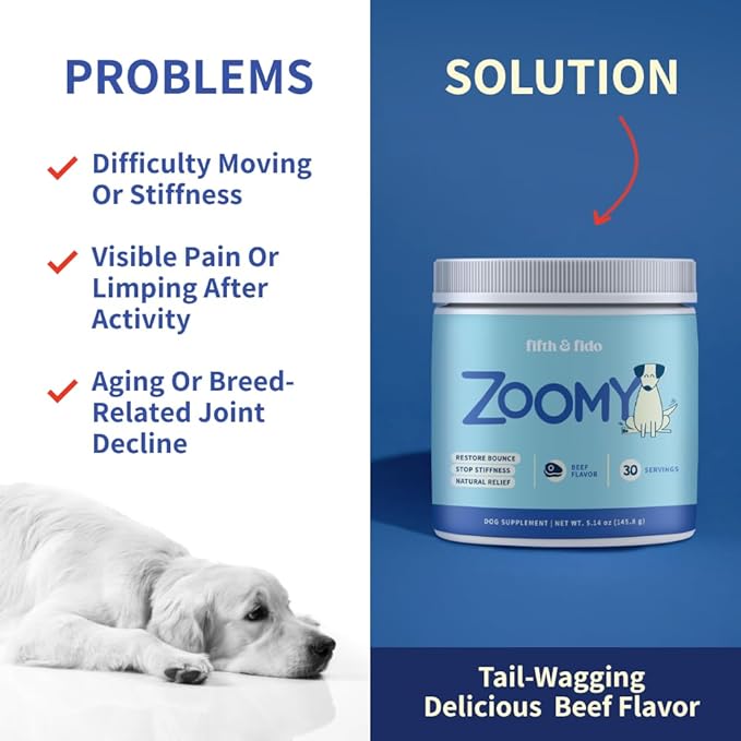 Zoomy Dog Joint Supplements with Glucosamine Chondroitin MSM - Mushroom Powered Hip Joint Support for Large Senior Dogs - Beef Flavored Natural Pain Relief Powder