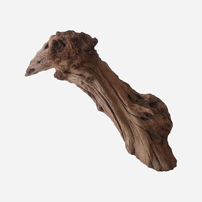 Natural Driftwood for Aquarium Decor, L20.87×W5.12×H7.48 Inches Large Drift Wood Decorations for Reptile Hide, Fish Tank, Optional Shapes