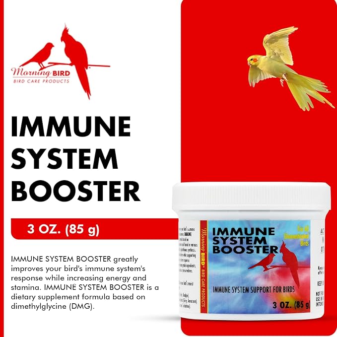 Morning Bird Immune System Booster 3 Oz - Energy Supplement for Birds – Natural Amino Acid Powder – Boosts Stamina, Cellular Health & Oxygen Use – Vitamin Powder for All Bird Species