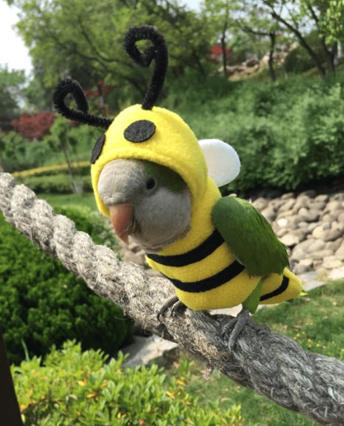 Bird Costume Diaper Flight Suit Bee Shape Hoodie Clothes Cosplay Photo Prop for Parrots Parakeet Cockatiel Sun Conure, Small Animals Apparel (Bee with Diaper, X-Large), Green (BPF1)