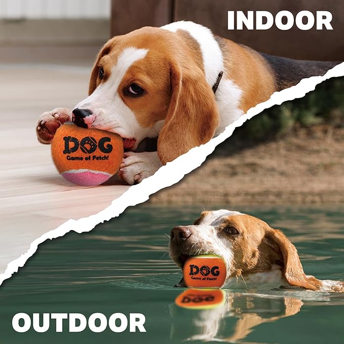 AMA SPORT Squeaky Tennis Balls for Dogs 2.0" Small Dog Tennis Balls for Throwing and Fetching Dog Toys for Training, Exercise, High Bouncing 6 Pack (Multicolor A)