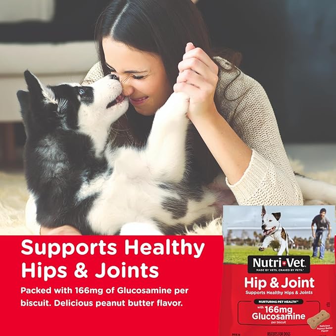 Nutri-Vet Hip & Joint Biscuits for Dogs, Dog Hip & Joint Supplement, Functional Treat, Small Sized Biscuit, 166mg Glucosamine, 16 oz Bag (Pack of 2)
