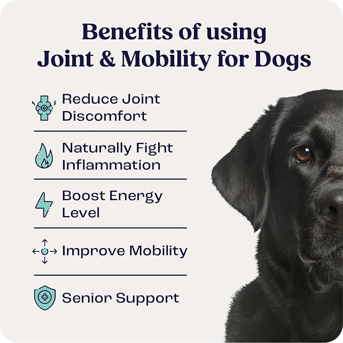 Summit Canine Joint and Mobility Supplement for Large Dogs (Previously Lift), All Natural Liquid Chondroitin with Liposomal Delivery for Arthritis, Hip & Joint Support Vitamin, (Dogs 75+lbs)