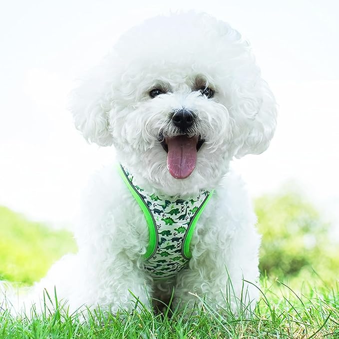 Small Dog Harness and Leash Set, Step in Dog Harness No Pull for Walking Running Training, Puppy Essentials for Dogs Cat Bunny, Adjustable Reflective Dog Vest Harness. (Green, S)
