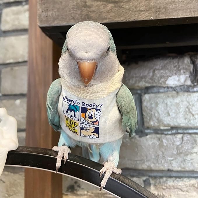 Bird Costume Diaper Flight Suit Frog Shape Hoodie Clothes Cosplay Photo Prop for Parrots Parakeet Cockatiel Sun Conure, Small Animals Apparel (White Without Hat, Large) (BPF1)