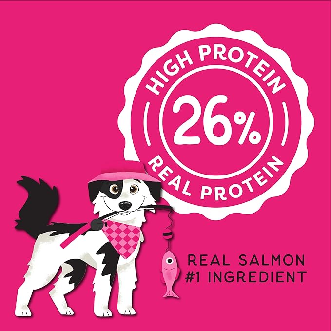Soft Healthy Dog Treats for Skin & Coat Support Made with Omega 3, Biotin & Flaxseed - Grain Free Salmon - 16 oz