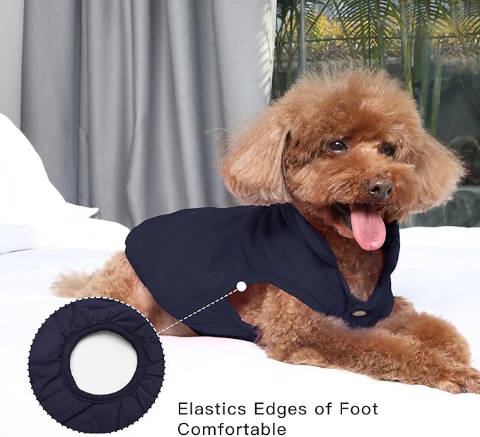 2 Layers Fleece Lined Warm Dog Jacket for Winter Cold Weather,Soft Windproof Medium Dog Coat,Blue XL