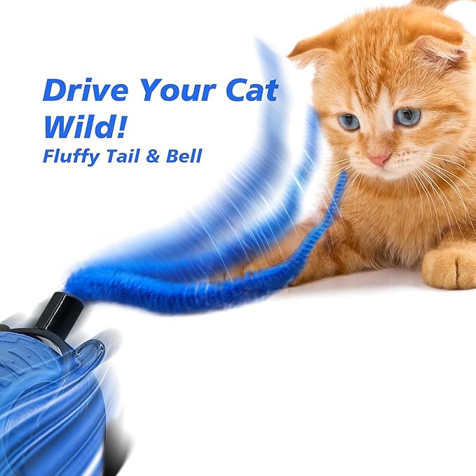Interactive Cat Toy for Indoor Cats, Speedy Ball with Tail, Automatic Moving Cat Balls for Bored Indoor Adult Cats, 360°Automatic Rolling Ball Toy, Two Speed Adjustment(Blue)
