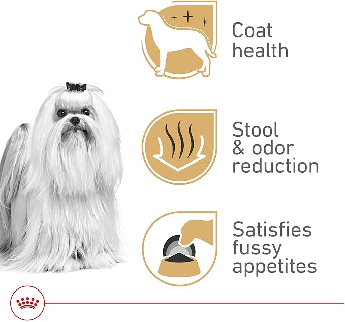 Royal Canin Maltese Adult Dry Dog Food, 10 lb bag