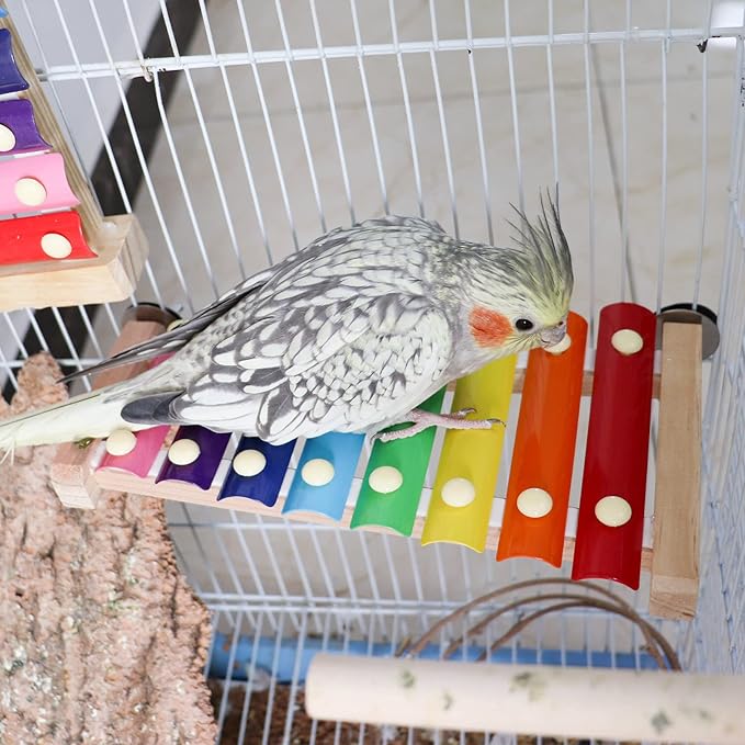 Dnoifne Colorful Xylophone, Funny Xylophone with 8 Metal Keys, Cage Toy Accessories for Parrot, Parakeet, Budgies, Love Birds