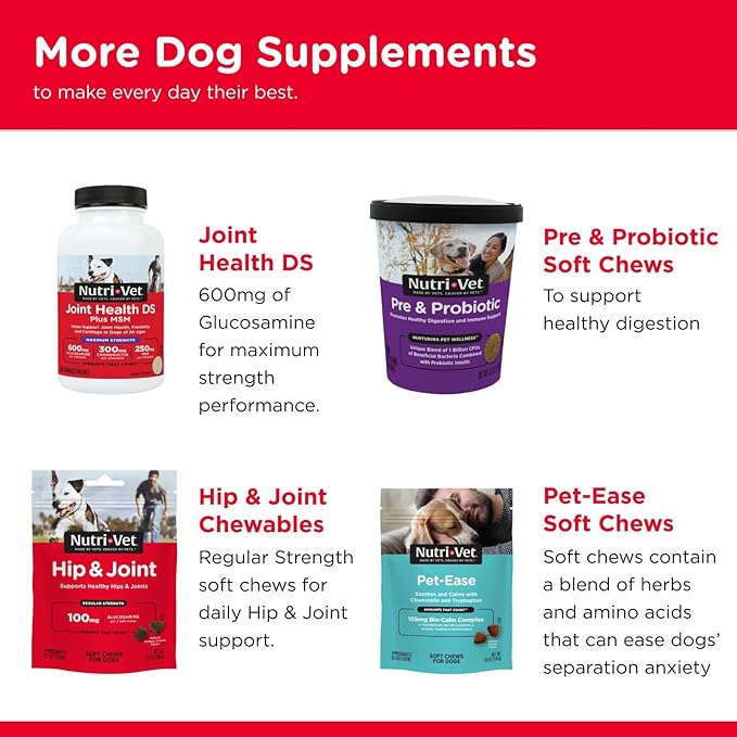 Nutri-Vet Hip & Joint Biscuits for Dogs, Dog Hip & Joint Supplement, Functional Treat, Small Sized Biscuit, 166mg Glucosamine, 16 oz Bag (Pack of 2)