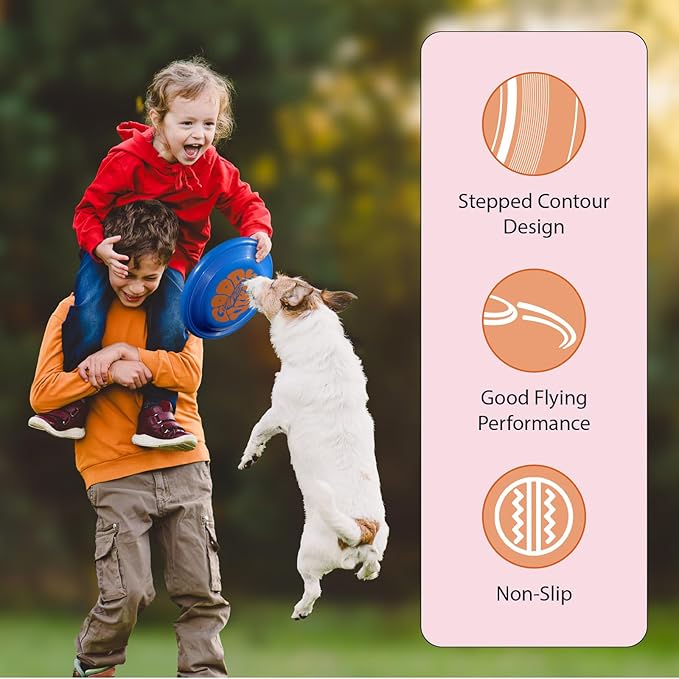 Wham-O Frisbee Fastback Flying Disc, 9.35 Inch Dog-Friendly Lightweight Toy for Professional Players Outdoor Beach Park Backyard Game - 100g