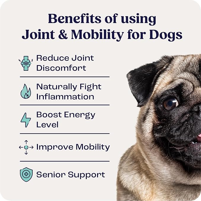Summit Canine Joint and Mobility Supplement for Small Dogs (Previously Lift), All Natural Liquid Chondroitin with Liposomal Delivery for Arthritis, Hip & Joint Support Vitamin, (Dogs <25lbs)