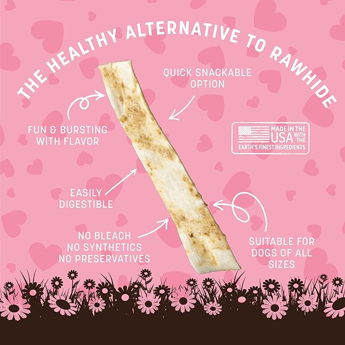 Earth Animal No Hide Strips Strawberries & Cream Flavored Vegetarian Natural Treats | No Rawhide | Quick & Thin Dog Chews - 16 Count
