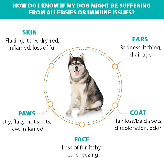 RestoraPet Allergy, Itch & Immune Soft Chews - Natural Supplement for Dogs - Support Immunity, Soothe Skin Irritation, Improve Coat Quality β with Lactoferrin, Colostrum & Omega 3-60 Bacon Chewables