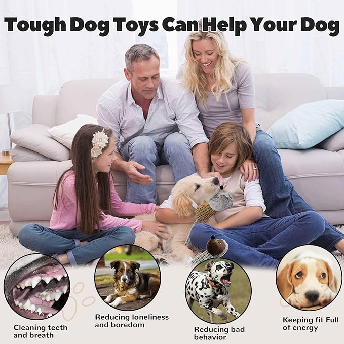 Crinkle Dog Toys Squeaky Plush No Stuffing Cute Puppy Stuffless Tough Rop Pull Toy, Fun Dog Stuffed Animals Durable Chew Set for Small Medium Large Pup (Large, Dark Brown+Brown Squirrel)