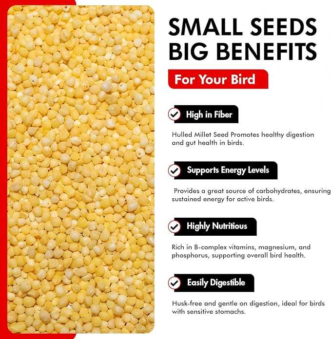 Morning Bird Hulled Millet – Nutritious Seed, Easily Digestible with High Fiber, Rich in Vitamins and Supplements for Birds, Ideal Bird Feed for All Bird Types, 18 lbs (2-Pack, 9 lbs Each)