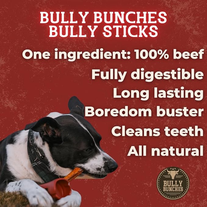 Bully Bunches Premium 6 Inch Thick Odor-Free Bully Sticks for Small & Medium Dogs - Long Lasting Chews for Oral Care- All Natural & Single Ingredient, 100% Beef Dog Treat, Rawhide Free (10 Pk)