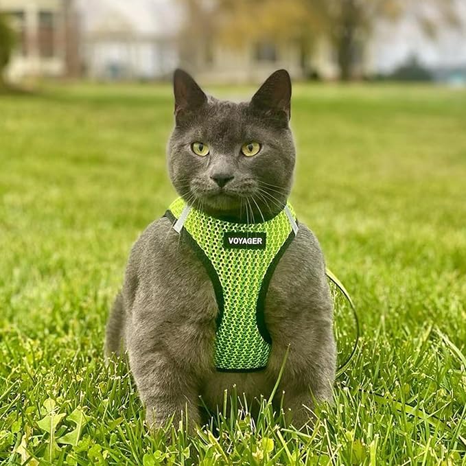 Best Pet Supplies - All Weather Mesh, Reflective, No Pull Harness for Small, Medium Dogs, Cats - Secure with Hook & Loop Fastener, Buckle, Double D-Rings - Lime Green 2-Tone, XL
