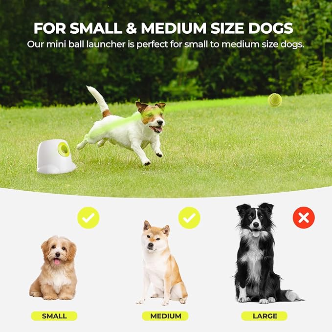 AFP Automatic Ball Launcher for Dogs Dog Fetch Ball Thrower Interactive Puppy Pet Ball Launcher for Small & Medium Dogs Indoor/Outdoor Dog Ball Thrower Machine 3 Balls Included (2 inch)