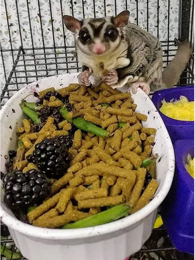 Premium Insectivore Diet (2.5 lb.) - Healthy Nutritious Chicken Based High Protein Pellet Diet - for Sugar Gliders, Hedgehogs, Opossums, Skunks & Other Insectivores