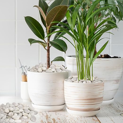 20Ibs White River Rocks, Premium 1-2 Inch River Pebbles for Indoor and Outdoor Landscaping, Perfect for Indoor Plants, Aquariums, Vases, and Garden Decoration