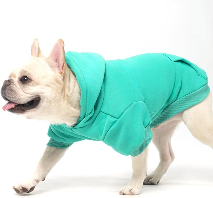 KOOLTAIL Basic Dog Hoodie - Soft and Warm Dog Hoodie Sweater with Leash Hole and Pocket, Dog Winter Coat, Cold Weather Clothes Sweatshirt for Small Medium Large Dogs Puppy Cat Boys Girls Lake Blue XL