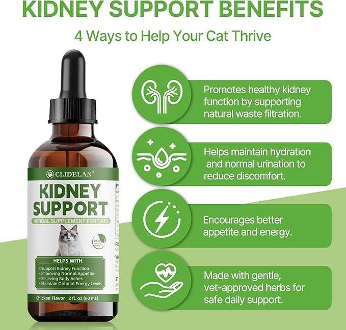 Cat Kidney Support – Kidney Support Supplement for Cats Feline Health, Fluid Balance & Appetite, Veterinarian-Formulated Herbal Supplement 2 fl oz–for Normal Kidney Cleanse and Essential Kidney Care