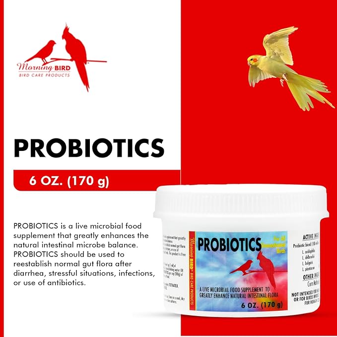 Morning Bird Probiotics for Birds 6 oz– Digestive Health Supplement with Supports Gut Balance, Nutrient Absorption & Immune Support – Easy Mix Powder Supplement for All Bird Species