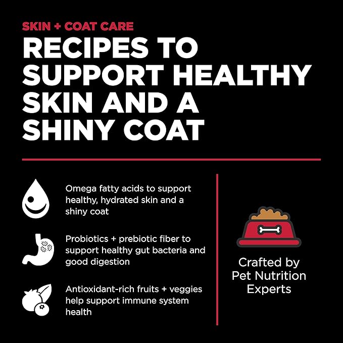 Go! Solutions Skin + Coat Care, Dry Dog Food, Lamb Recipe with Grains, 12 lb Bag