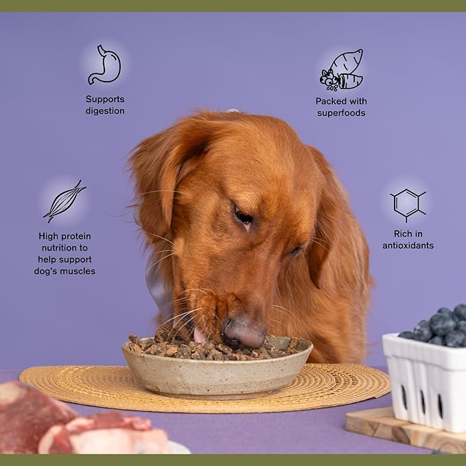Superfood Complete, Air-Dried Adult Dog Food - High Protein, Zero Fillers, Superfood Nutrition by Katherine Heigl (11.5 oz, Beef & Bison Formula)