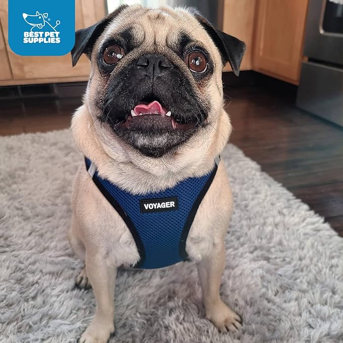 Best Pet Supplies - All Weather Mesh, Reflective, No Pull Harness for Small, Medium Dogs, Cats - Secure with Hook & Loop Fastener, Buckle, Double D-Rings - Royal Blue/Black Trim, XXS